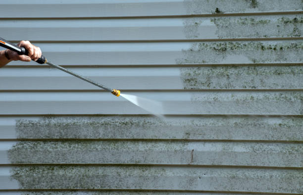 Best Deck Cleaning Services  in Lyman, MS